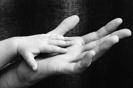 In the handsの写真素材