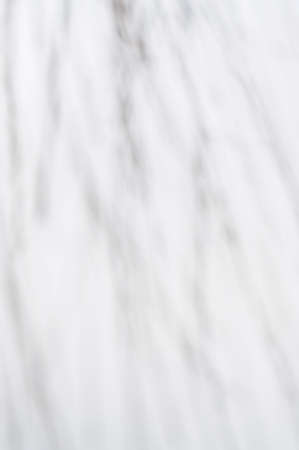 Branchの写真素材