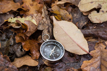 Compassの写真素材