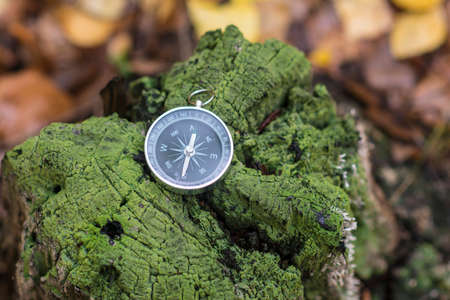 Compassの写真素材