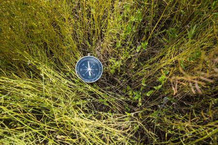 Compass in the meadowの写真素材