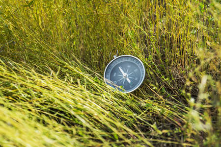 Compass in the meadowの写真素材