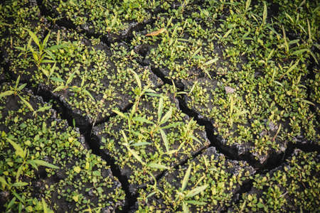 dried earthの写真素材