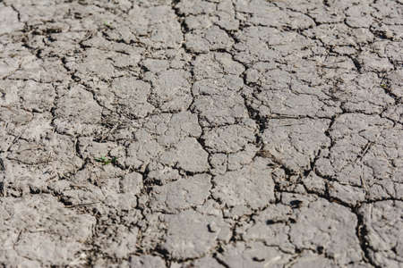 dried earthの写真素材