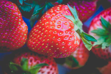 strawberyの写真素材