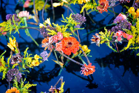 Sprigs of flowers bending over the dark water surface of the Japanese Gardenの写真素材
