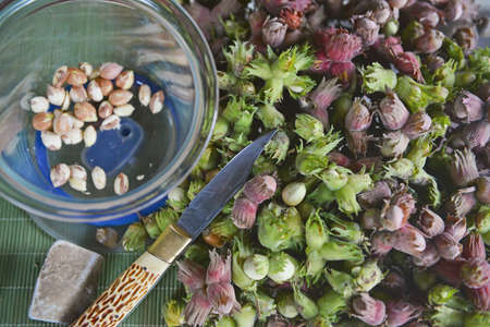 Nuts on the table, peeled and inshelled during the cleaning process