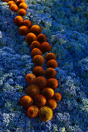 Colorful shapes