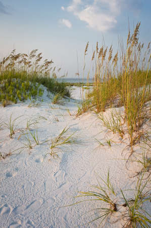 Path in the Sand Dunes at the Beach at Sunset Path in the Sand Dunes at the Beach at Sunset