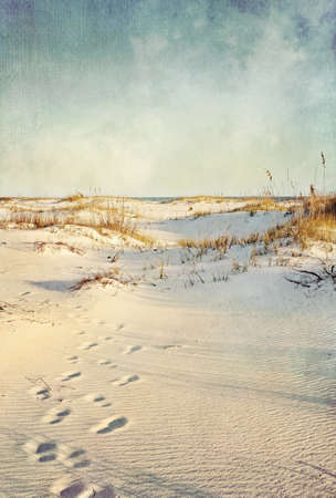 Footprints in the sand dunes leading to the ocean at sunset  Soft artistic treatment with canvas texture, grain and brush strokes added for effect の写真素材