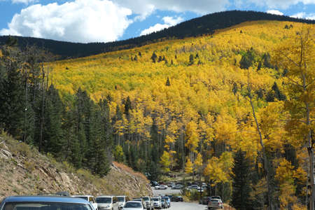 Lines of cars crowd the road in Santa Fe National Forest for the annual golden aspen viewing in autumn.の写真素材