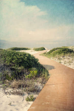 Boardwalk to the beach through pristine sand dunes dotted with scrub oak on the Gulf of Mexico ...