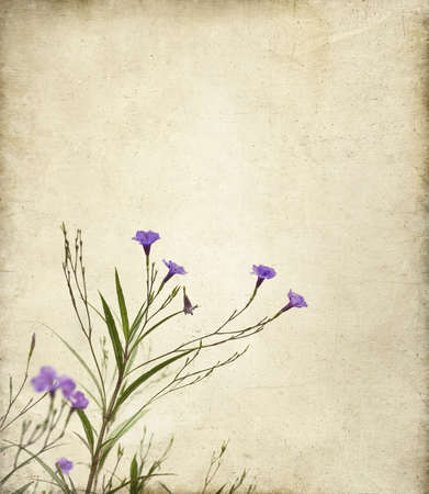 Delicate purple Ruella flowers on a textured canvas background with a painterly feeling  Useful for motherの写真素材