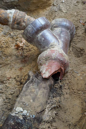 Closeup of broken old terracotta ceramic sewer pipe line showing pipe completely filled with tree roots.の写真素材