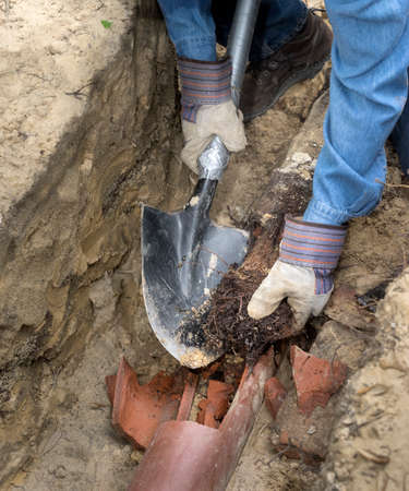 Man crouching in trench with shovel showing an old terracotta sewer line broken open to reveal a solid tube of invasive tree roots.の写真素材