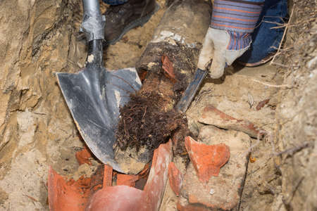 Man crouching in trench with shovel showing an old terracotta sewer line broken open to reveal a solid tube of invasive tree roots.の写真素材