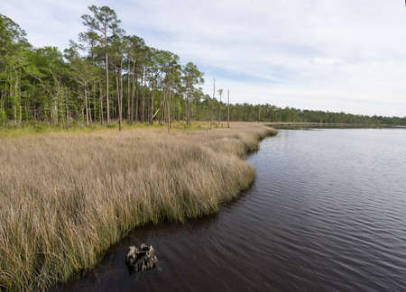 Water view at Tarkiln Bayou Preserve State Park on Perdido Bayの写真素材