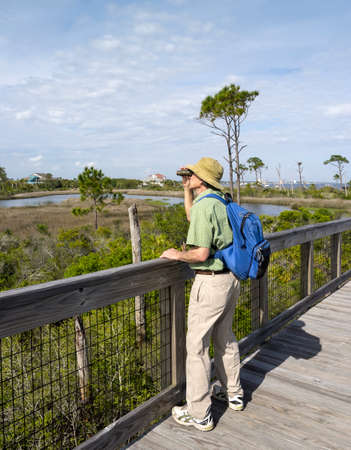 Mature man birdwatching with binoculars on elevated boardwalk at Big Lagoon State Park in Florida.の写真素材