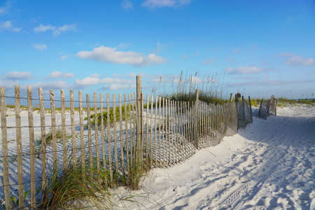 Weathered rustic wooden sand fence protects sand dunes at the beach from erosion.の写真素材