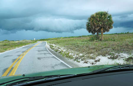 View of approaching hurricane storm in Florida looking out car windshield at dark clouds, palm tree, coastal road.の写真素材