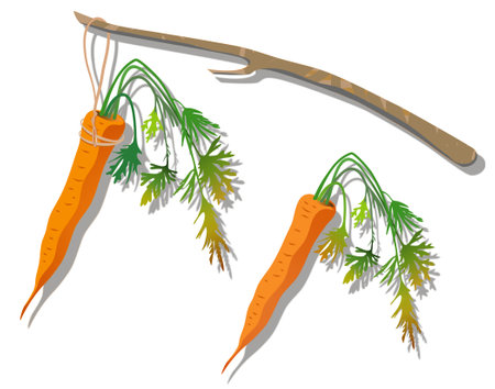 Carrot with green leaves hanging from a stick along with separate carrot without stick. Soft shadows. Carrot on a stick concept. Hand-drawn illustration on white background.の写真素材