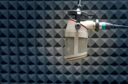 professional microphoneの写真素材