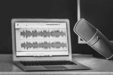 Professional microphone and wave form on the screenの写真素材