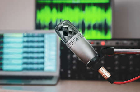 Professional microphone and wave form on the screenの写真素材