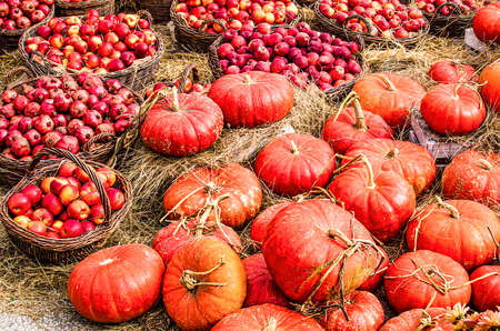 Harvest: pumpkins and apples in basketsの写真素材