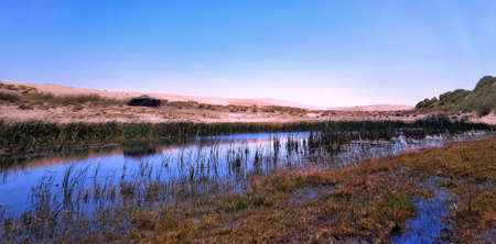 wetland sceneryの写真素材