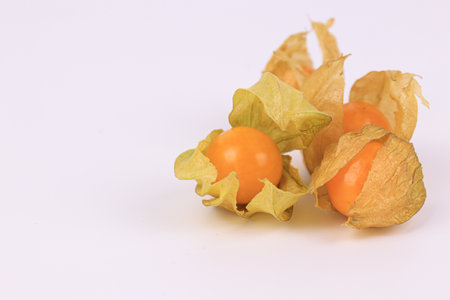 Goose Berry on White Backgroundの写真素材