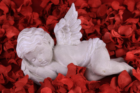 Sleeping Cupid on Red Rose Petals for decorating Valentine's day