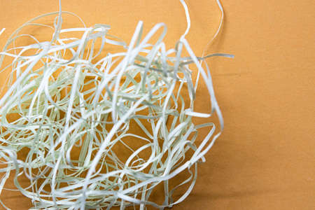 Shreded Paper on Latte Color  Background