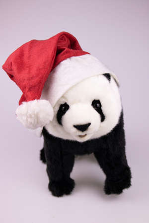 Panda Plush Doll wearing red Santa Claus Hat and Christmas Ornamentsの写真素材