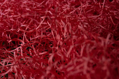 Red Shredded Paper for backgroundの写真素材