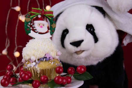 Christmas Celebration.
Panda Plush Doll with Christmas Cup Cake.の写真素材
