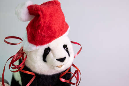 Panda Plush Doll wearing red Santa Hat  and Christmas Ornament  on White Backgroundの写真素材