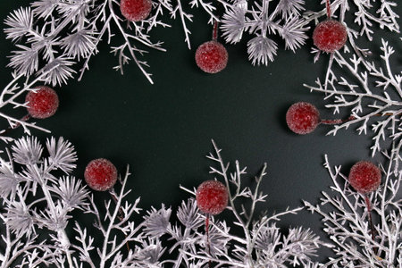 Christmas background with snowflakes and berries on a black background.