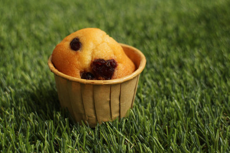 Muffin with raisins in a basket on green grassの写真素材