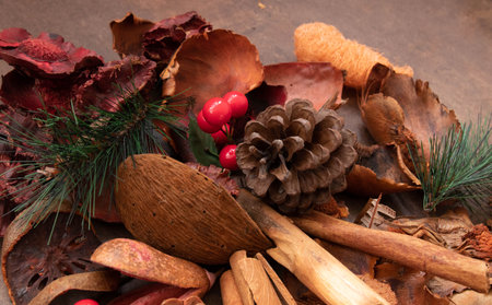 Dried mushrooms on a dark background. Top view. Copy space.