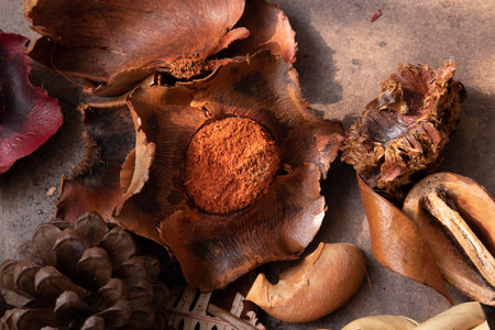 Variety Shade of Burnt Orange Color from Variety Dried Leaves on Rustic Copper Backgroundの写真素材