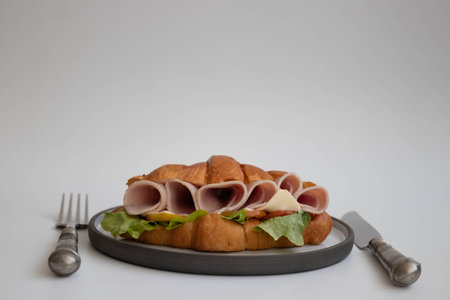 Healthy Meal for modern living lifestyle, Ham and Cheese Croissantの写真素材