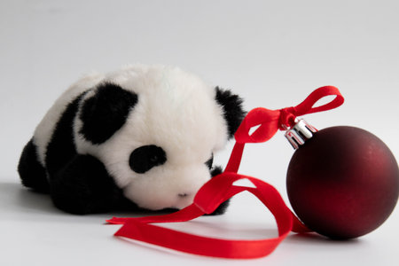 Panda with red christmas ball and ribbon on white background.の写真素材