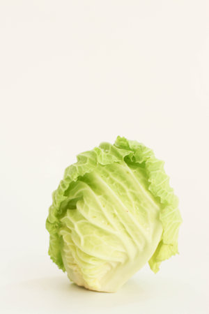 Baby Lettuce on white background, closeup of green cabbage.の写真素材