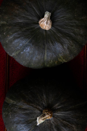 2 pumpkins on black backgroundの写真素材