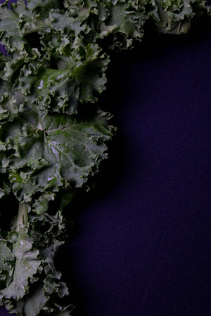 Close up dark green kale with ruffled, curly edges leaves
