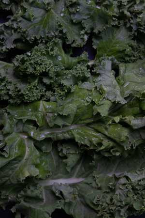 Kale salad on black background. Top view. Close up.の写真素材