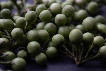fresh green peppercorns on a black background. selective focus.の写真素材