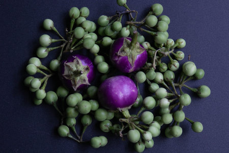 The assortment of several type of vegetable, fresh eggplants, Green pea eggplants and Round eggplants on Black Backgroundの写真素材