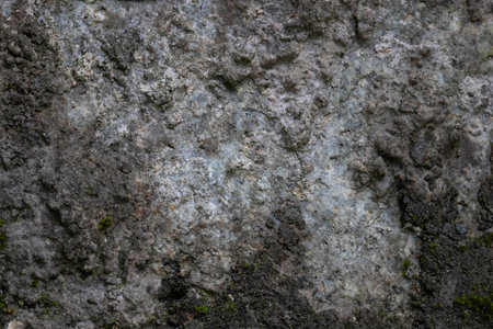 Close up texture of rock and fuzzy moss, the exposed part of the stone mostly bare but shows patches of lichen or algaeの写真素材